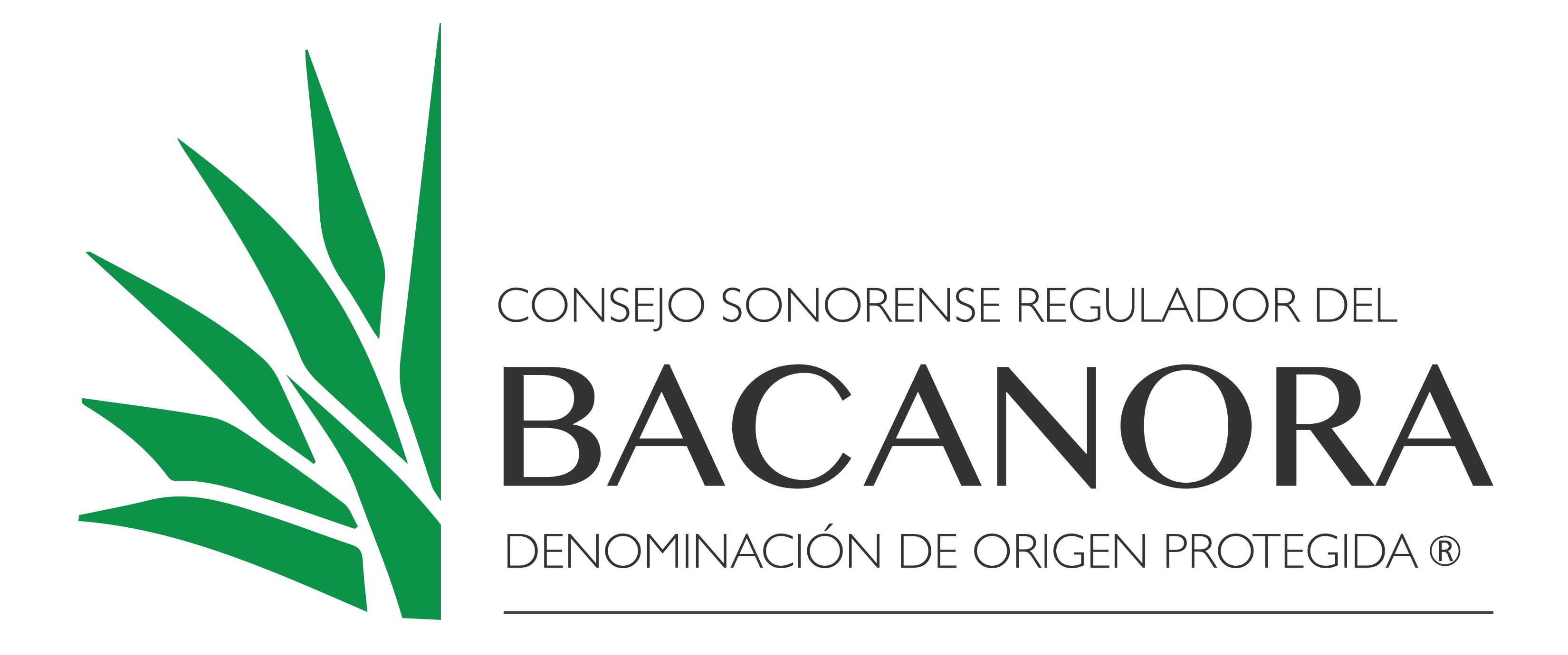 Bacanora